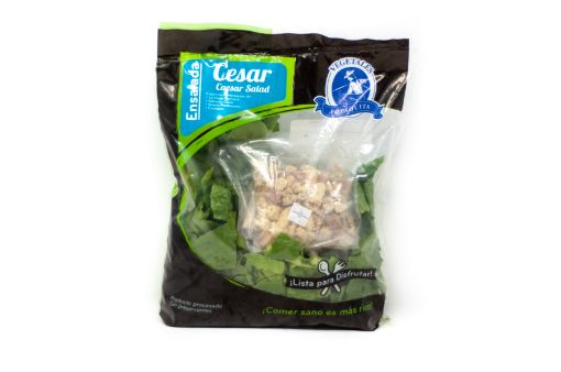 Imagen de ENSALADA FRESQUITA CESAR 300.00 G