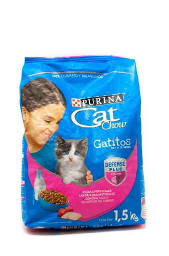 Imagen de ALIMENTO CAT CHOW PARA GATO GATITOS 1500.00 G