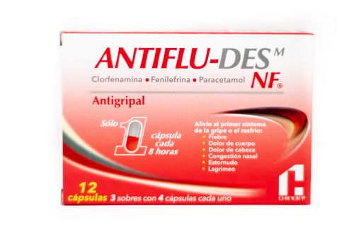 Imagen de ANTIGRIPAL ANTI-FLUDES 12 UND