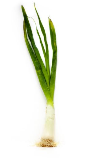 Imagen de PUERRO CB ROLLO 1.00 UND