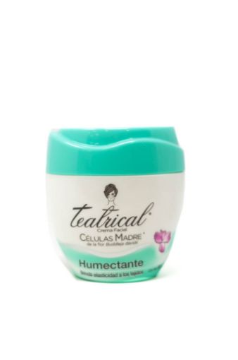 Imagen de CREMA FACIAL TEATRICAL HUMECTANTE 200 G