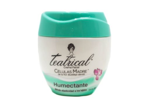 Imagen de CREMA FACIAL TEATRICAL HUMECTANTE 100 G