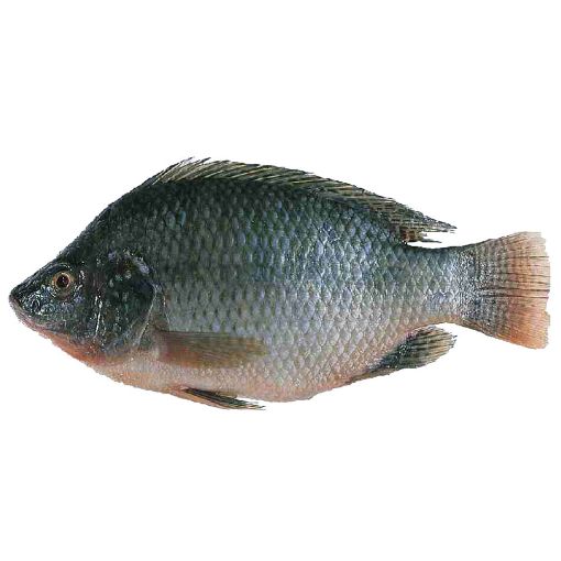 Imagen de TILAPIA ENTERA KG