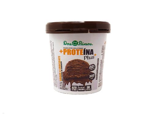 Imagen de HELADO DOS PINOS +PROTEÍNA PLUS CHOCOCHIPS 252 G