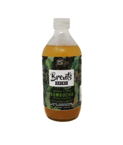 Imagen de REFRESCO KOMBUCHA BRENTS BREWS PROBIOTICO JENGIBRE & LIMON 500 ml 