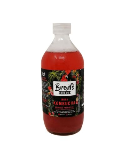 Imagen de REFRESCO KOMBUCHA BRENTS BREWS PROBIOTICO MORA 500 ml 