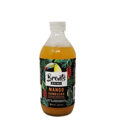 Imagen de REFRESCO KOMBUCHA BRENTS BREWS PROBIOTICO MANGO 500 ml 