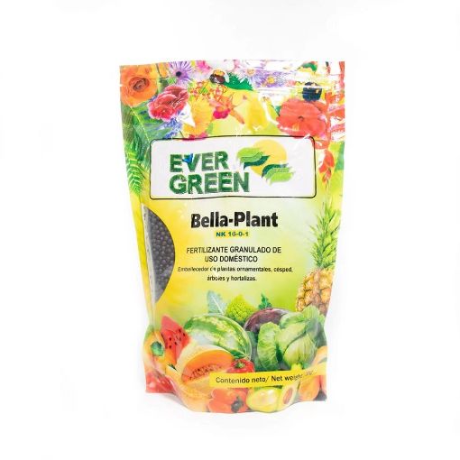 Imagen de FERTILZANTE EVERGREEN BELLA - PLANT GRANULADO 1000 G