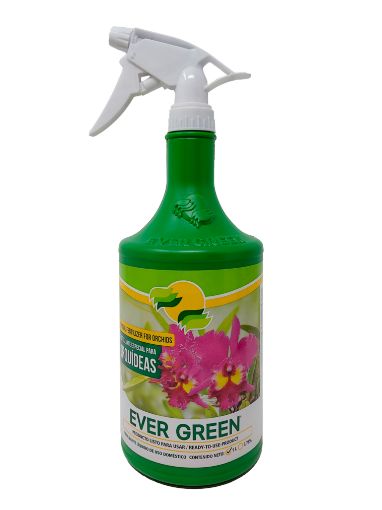 Imagen de FERTILIZANTE EVERGREEN ESPECIAL PARA ORQUIDEAS LIQUIDO 1000 ML