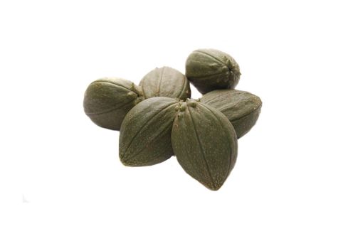 Imagen de TACACO CB SAZON POR KILO 