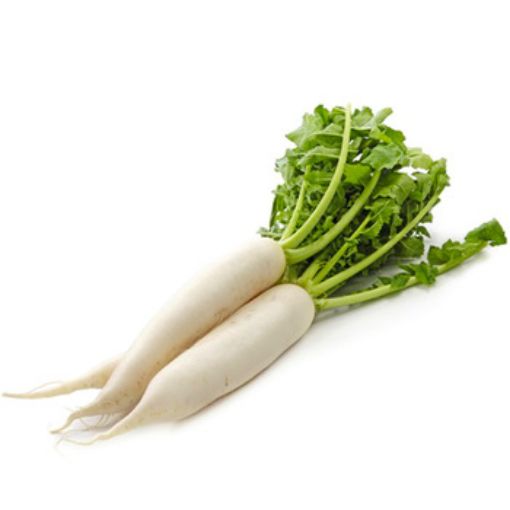 Imagen de RÁBANO BLANCO 1 UND
