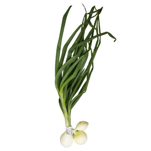 Imagen de CEBOLLA TIERNA CB ROLLO 1.00 UND