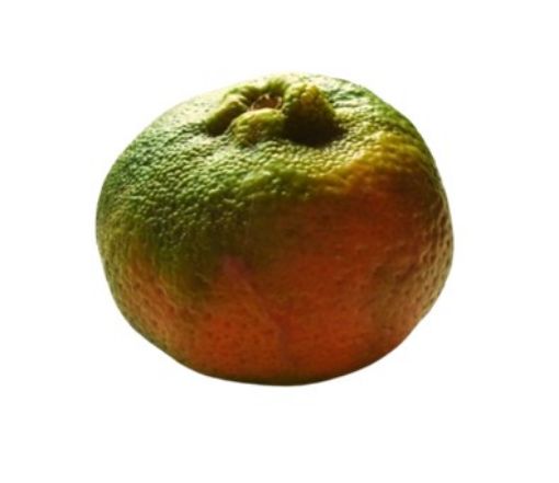 Imagen de MANDARINA CB 1 UND